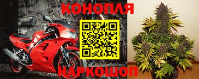 сатива Славгород