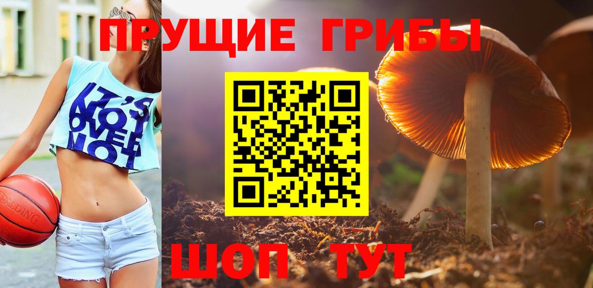 Псилоцибиновые грибы Psilocybine cubensis Первоуральск